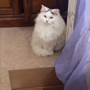 Meet your Posher, Sabrina